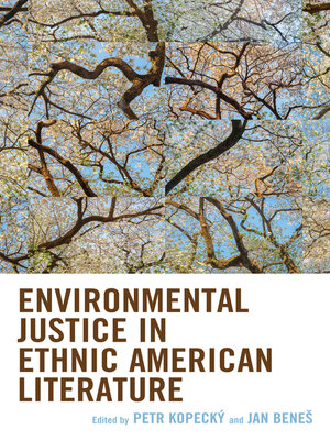 cover image of Environmental Justice in Ethnic American Literature
